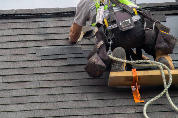 Best Chimney Flashing Repair  in Exander City, AL