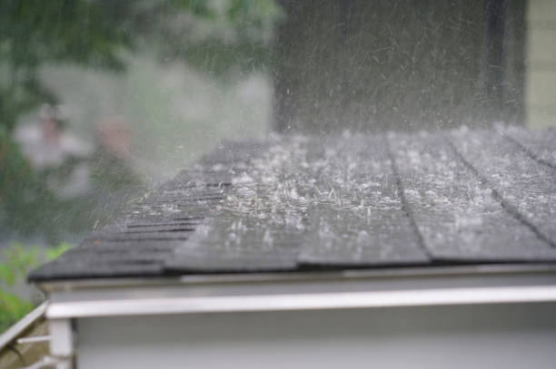 Best Gutter Installation and Repair  in Exander City, AL