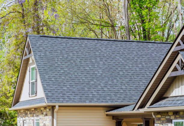 Best Metal Roofing Installation  in Exander City, AL