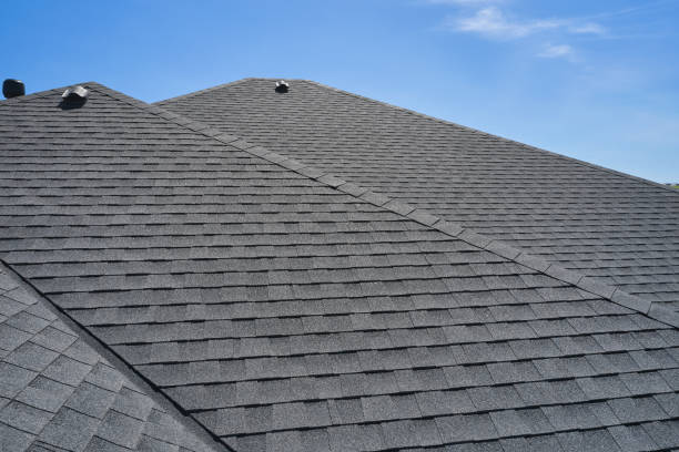 Best Skylight Installation and Repair  in Exander City, AL