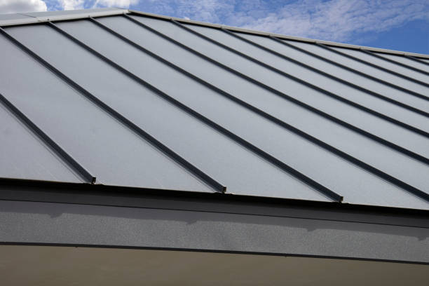 Best 4 Ply Roofing  in Exander City, AL